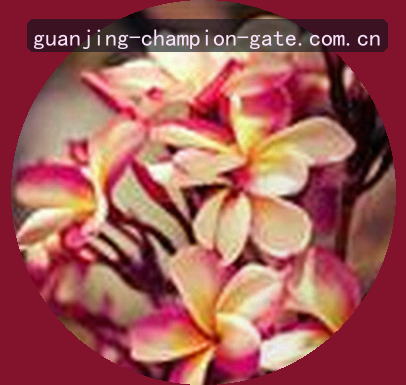王磊
